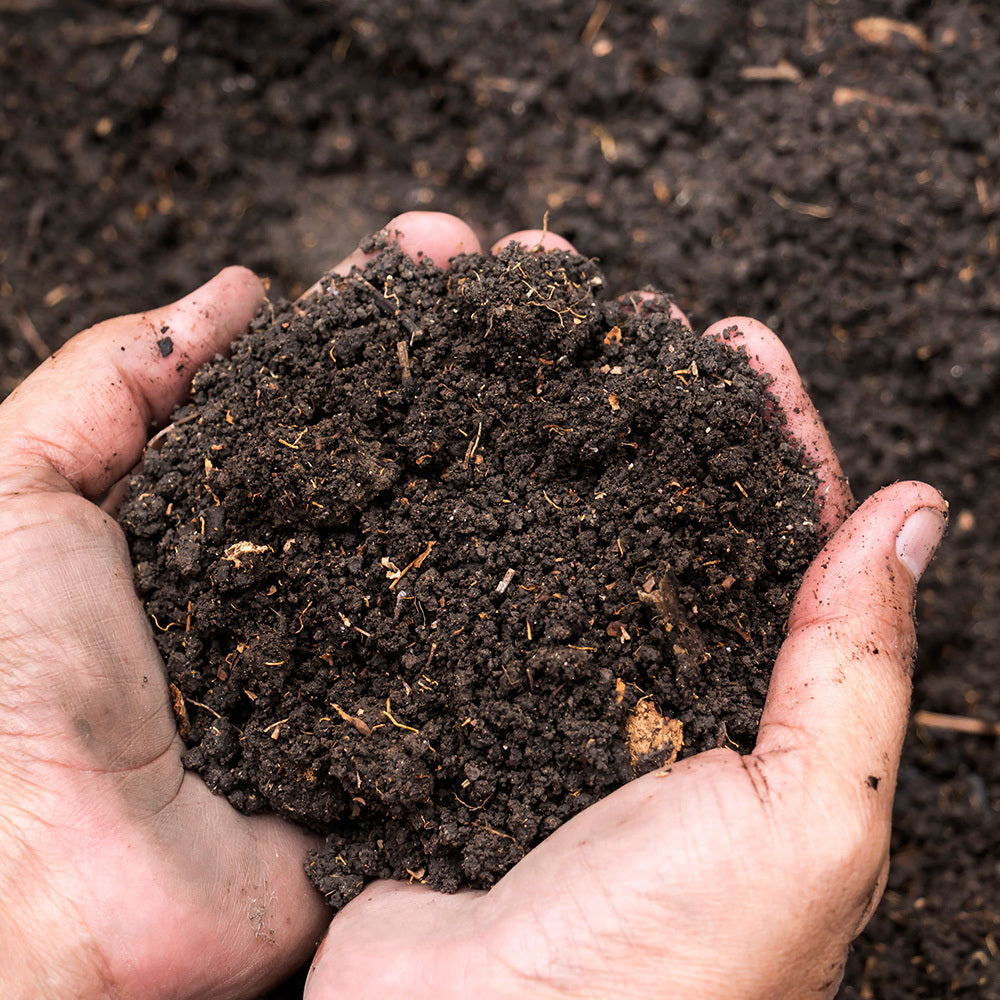 Understanding Different Types of Organic Fertilizers: A Guide for Farmers